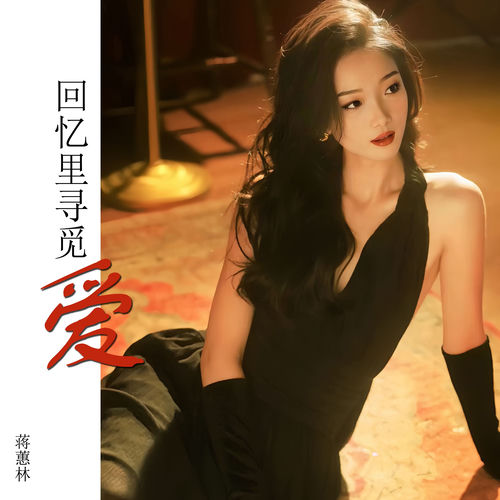 回忆里寻觅爱 (Remix)