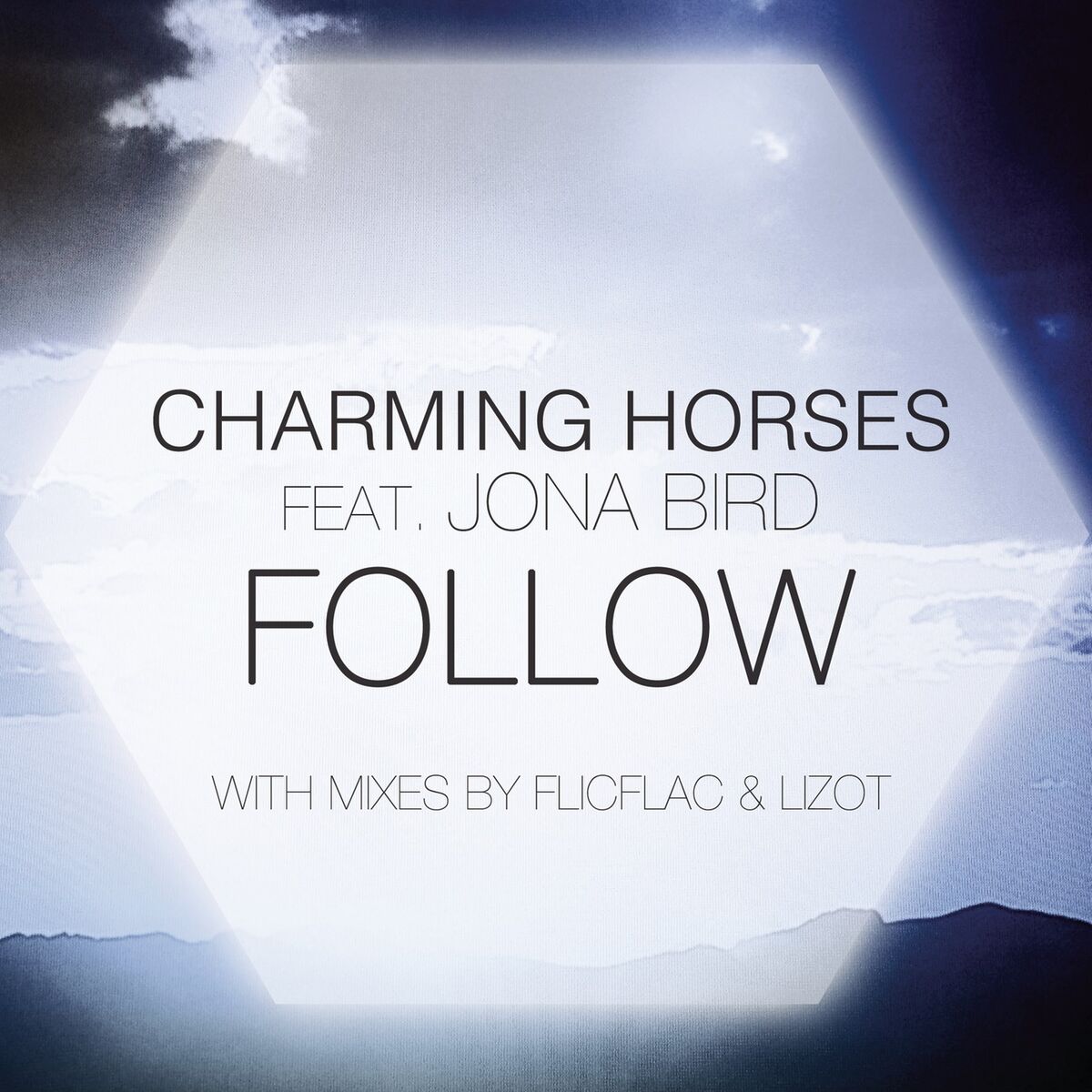 Album cover of Follow (feat. Jona Bird)