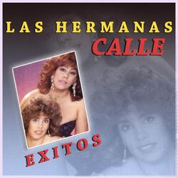 Cover of Exitos las Hermanas Calle