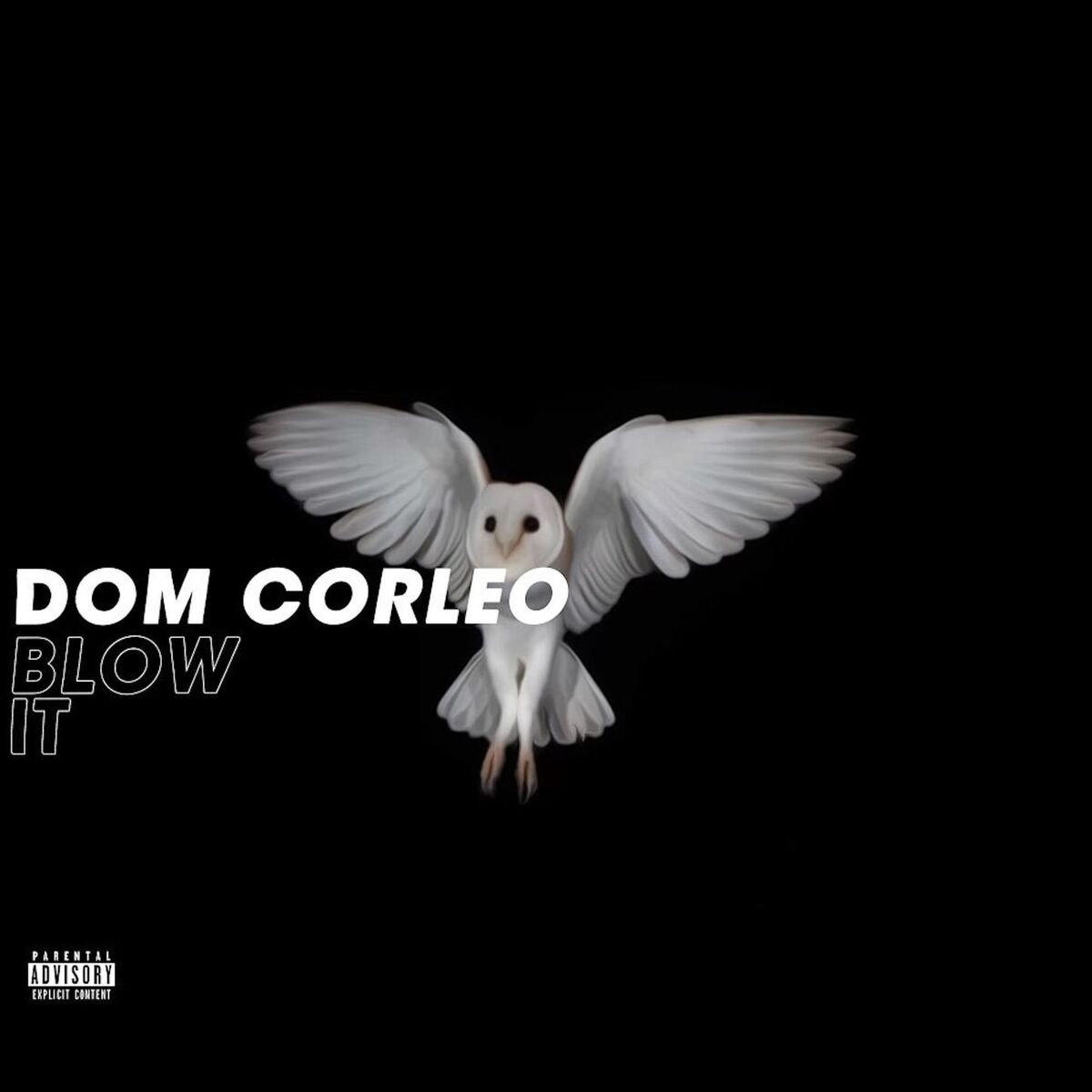 Album cover of Blow It