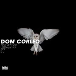Cover of Blow It