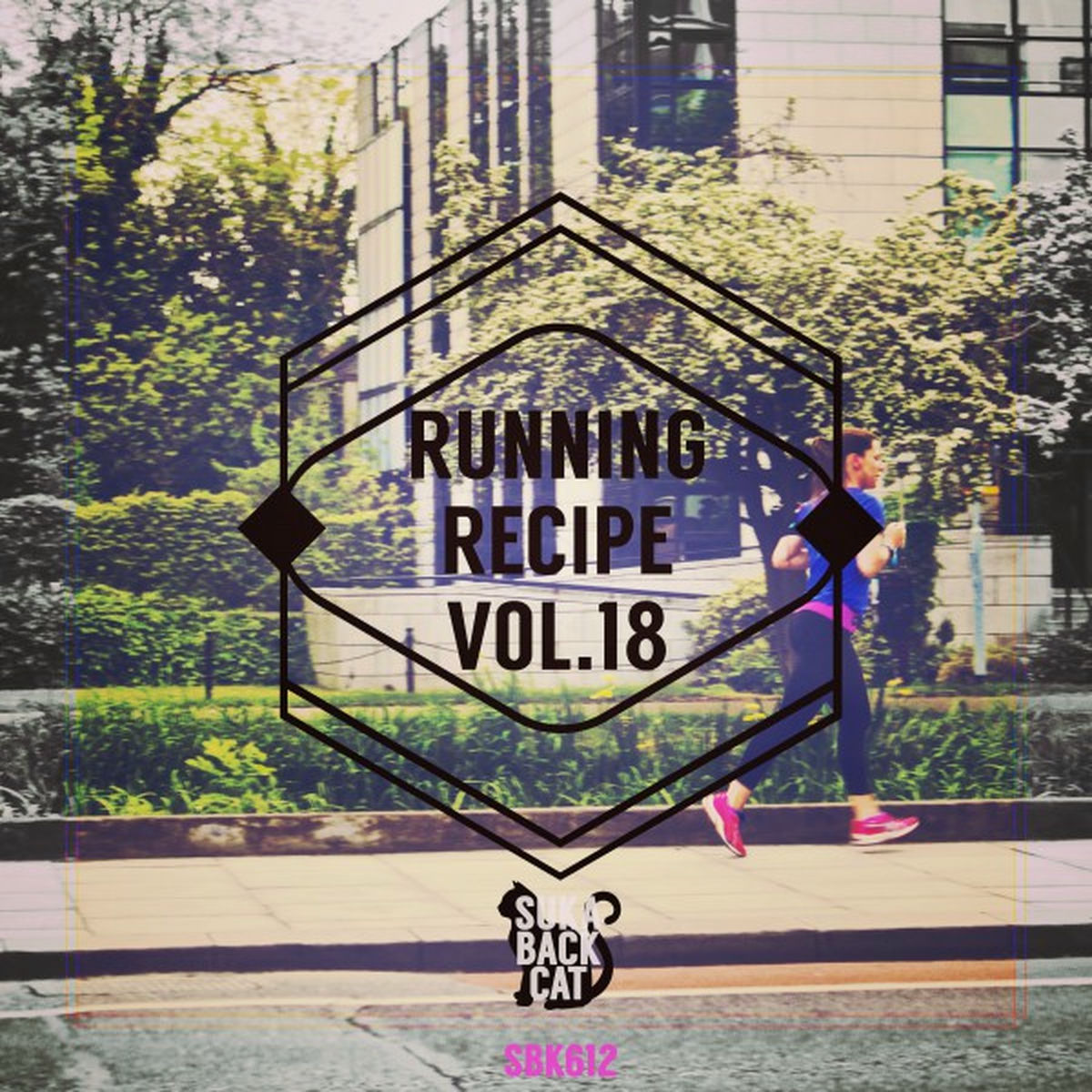 Album cover of Running Recipe, Vol. 18