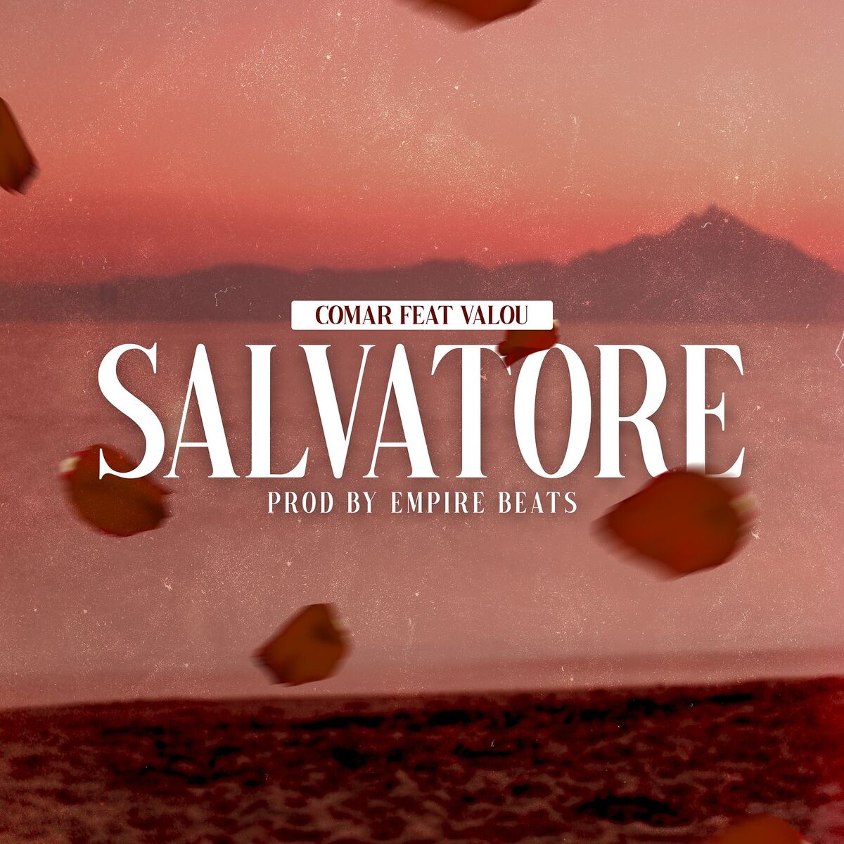 Album cover of SALVATORE
