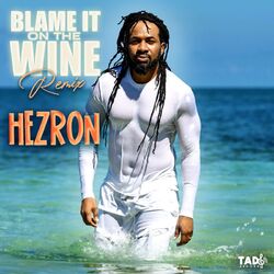 Cover of Blame It on The Wine (Remix)