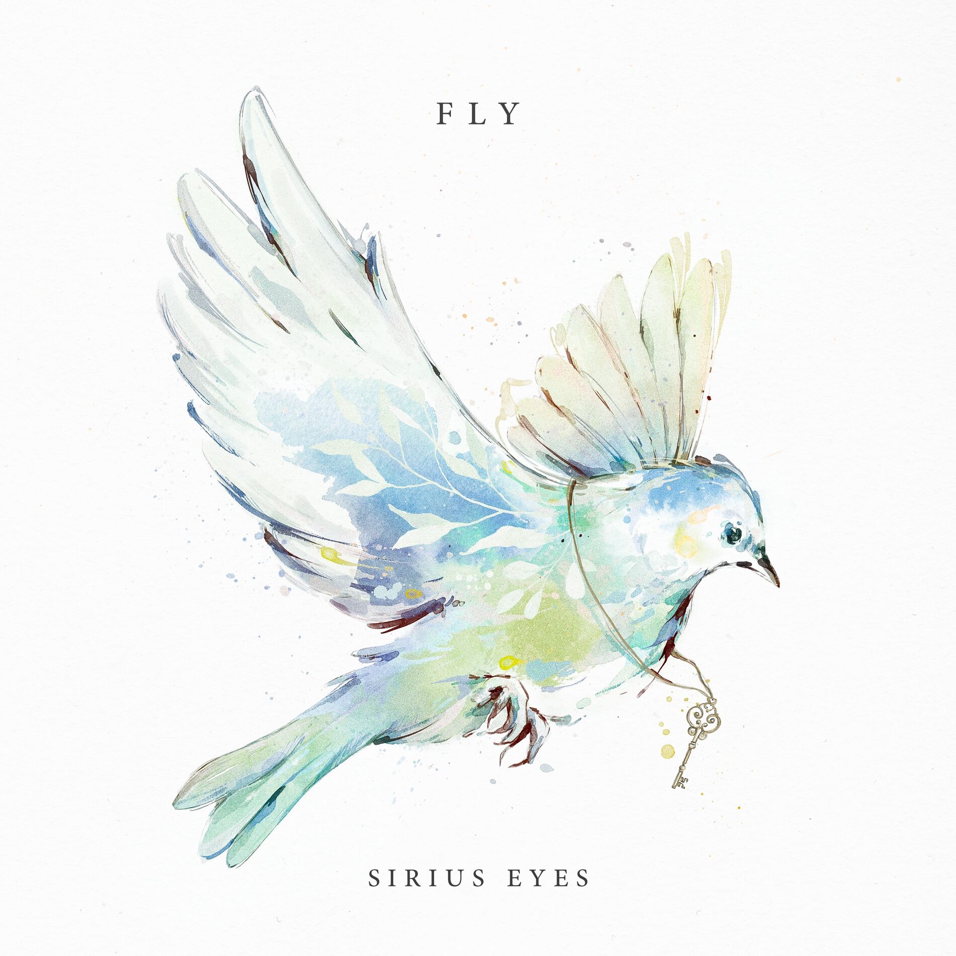 Album cover of Fly