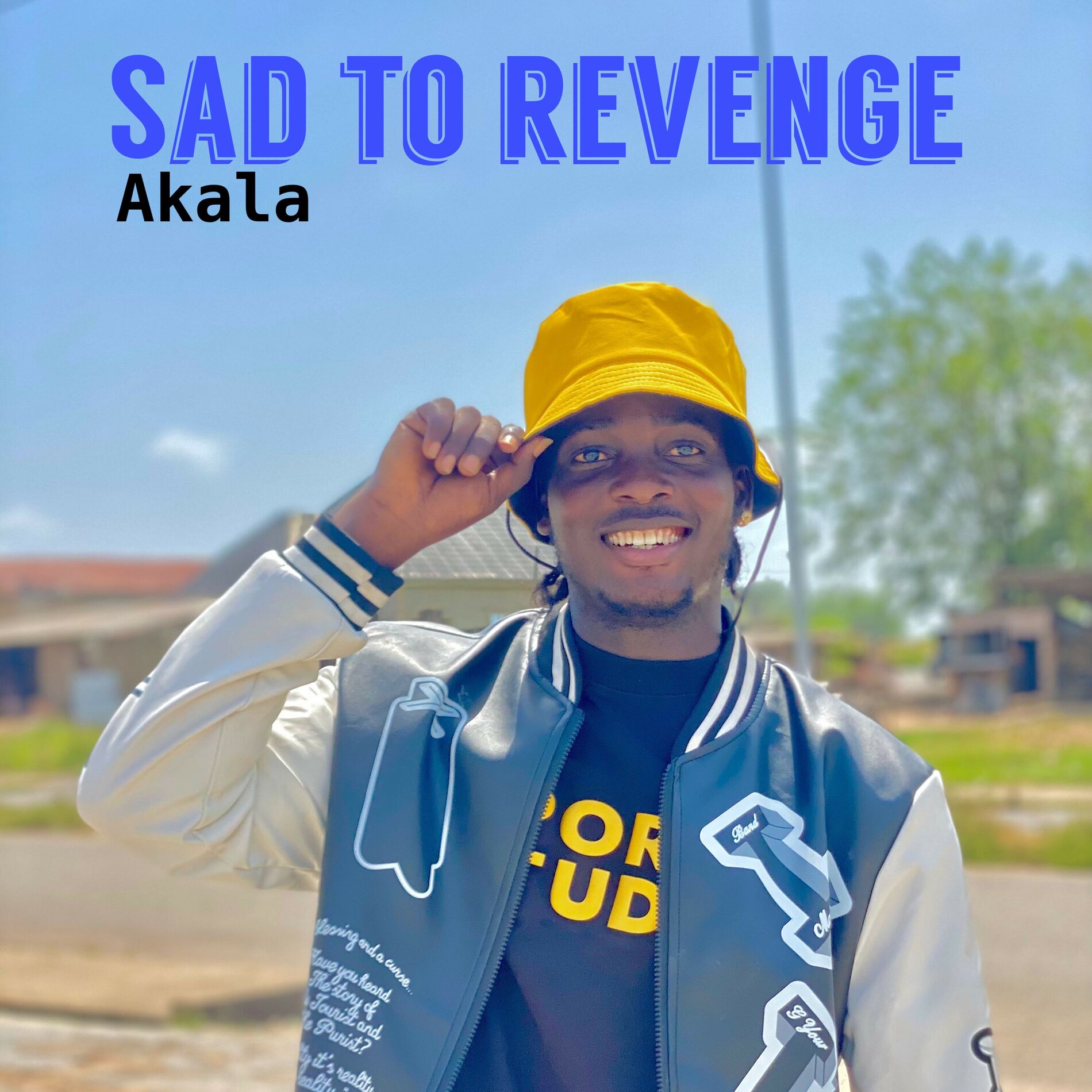Album cover of Sad to revenge