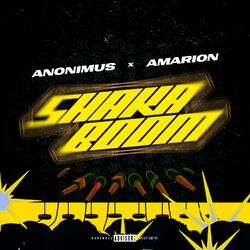 Cover of Shaka Boom