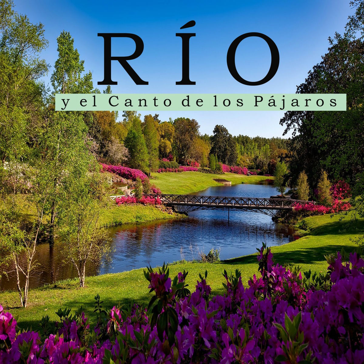 Album cover of Río y el Canto de los Pájaros