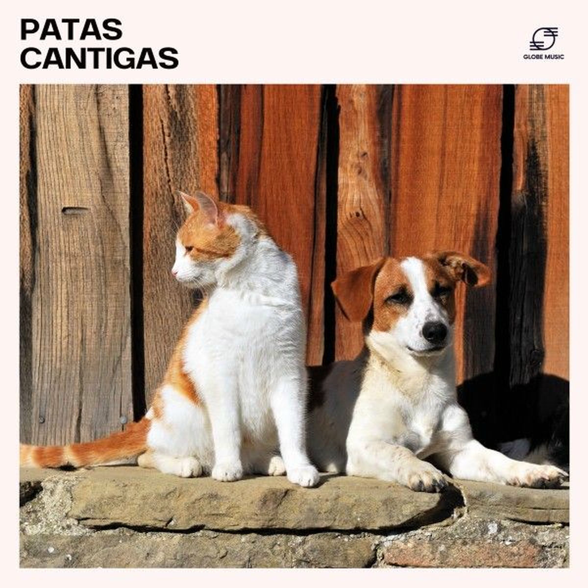 Album cover of Patas Cantigas