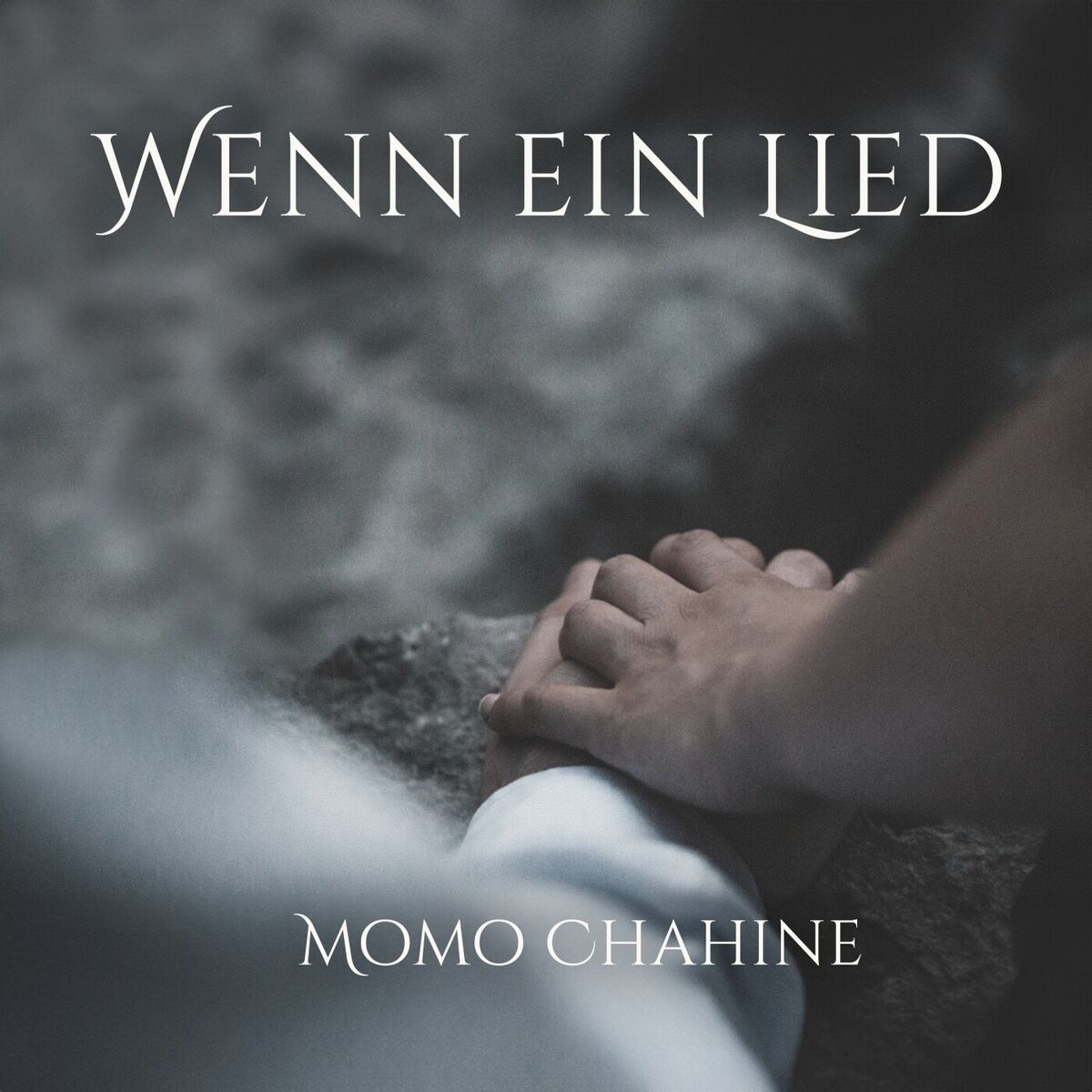 Album cover of Wenn ein Lied