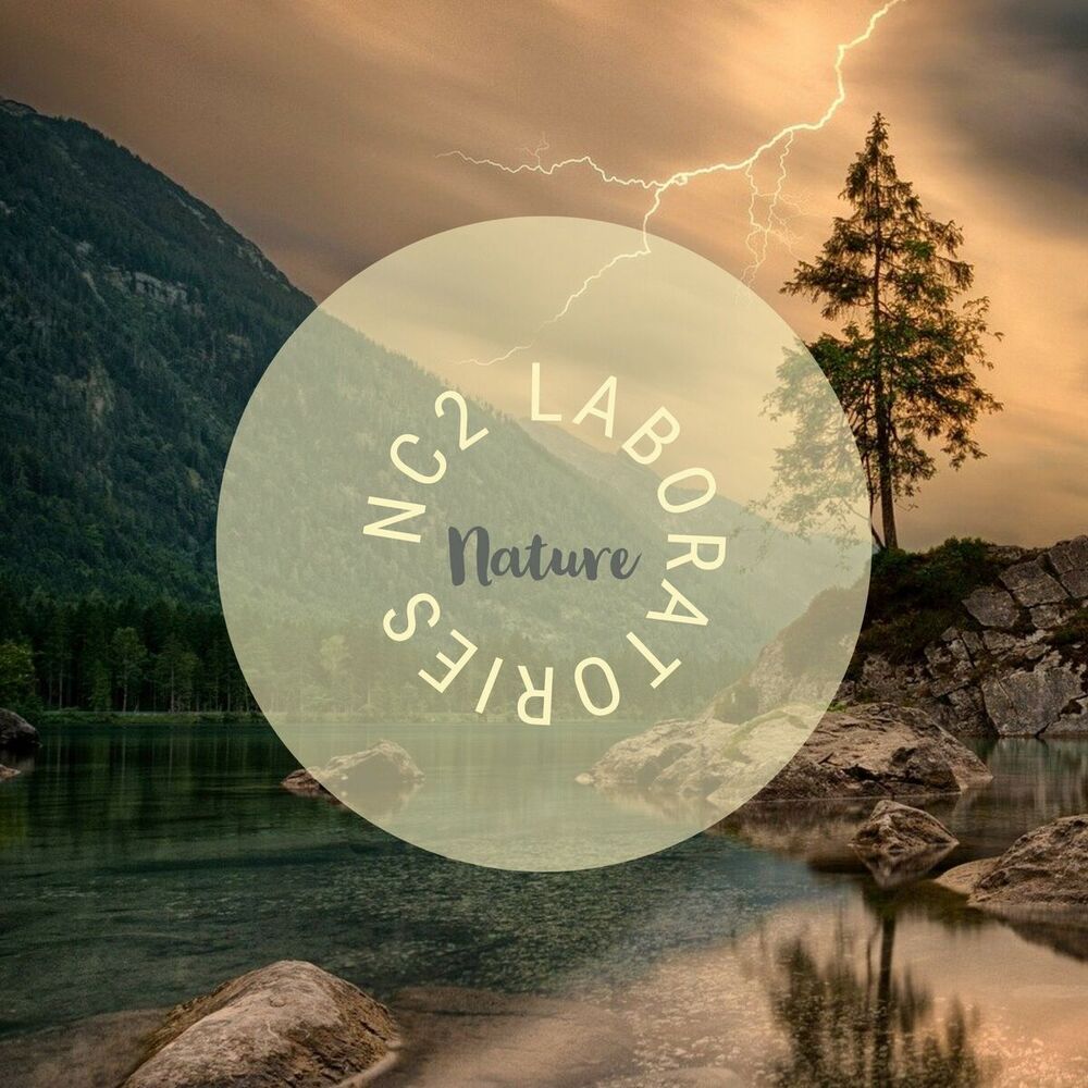 Picture of Nature
