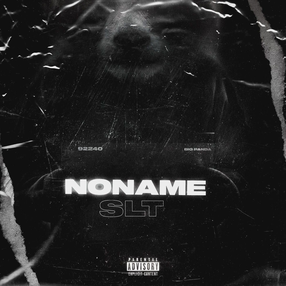 Album cover of SLT