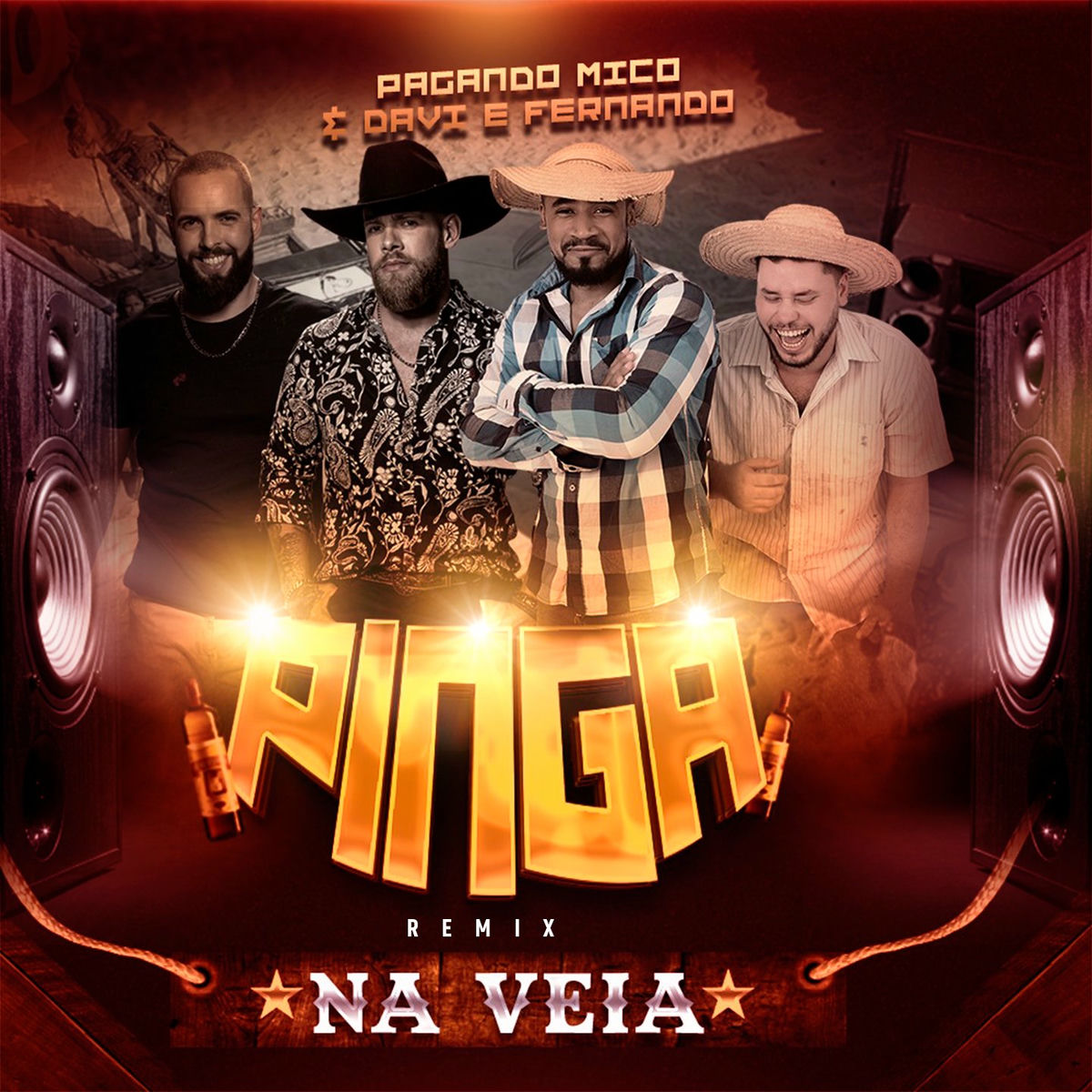 Album cover of Pinga na Veia