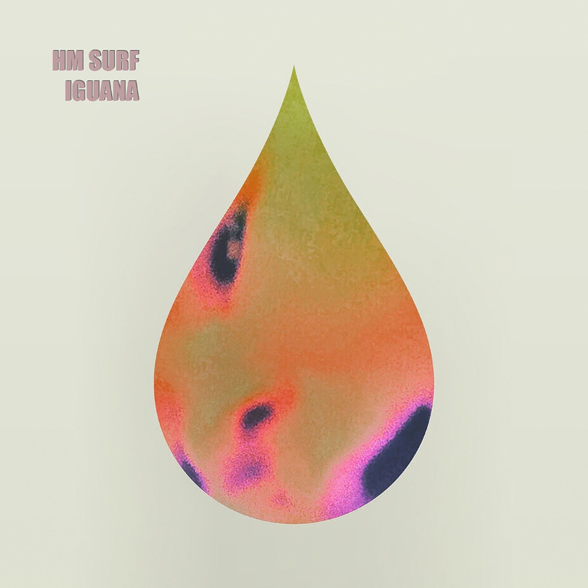 Album cover of Iguana