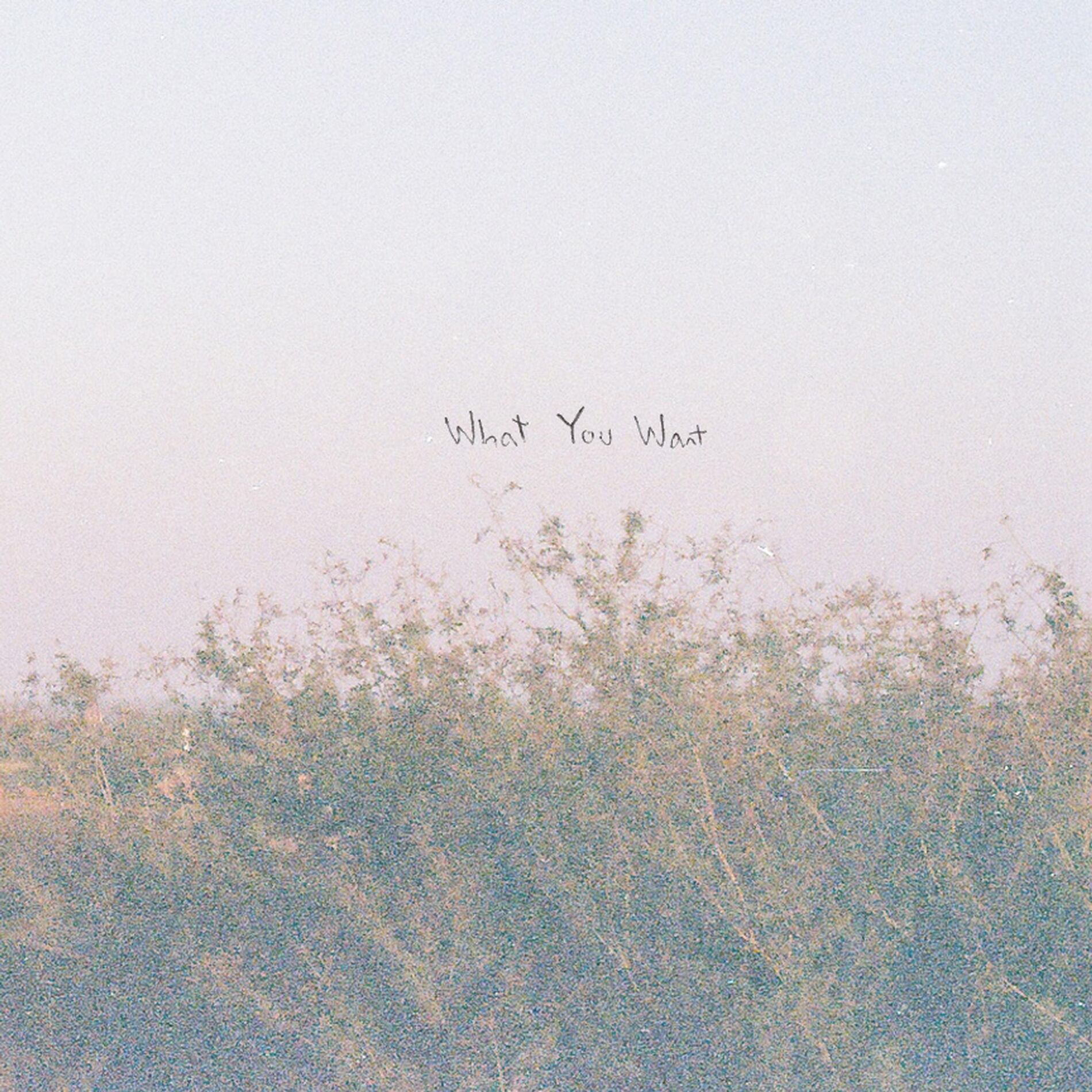 Album cover of What You Want