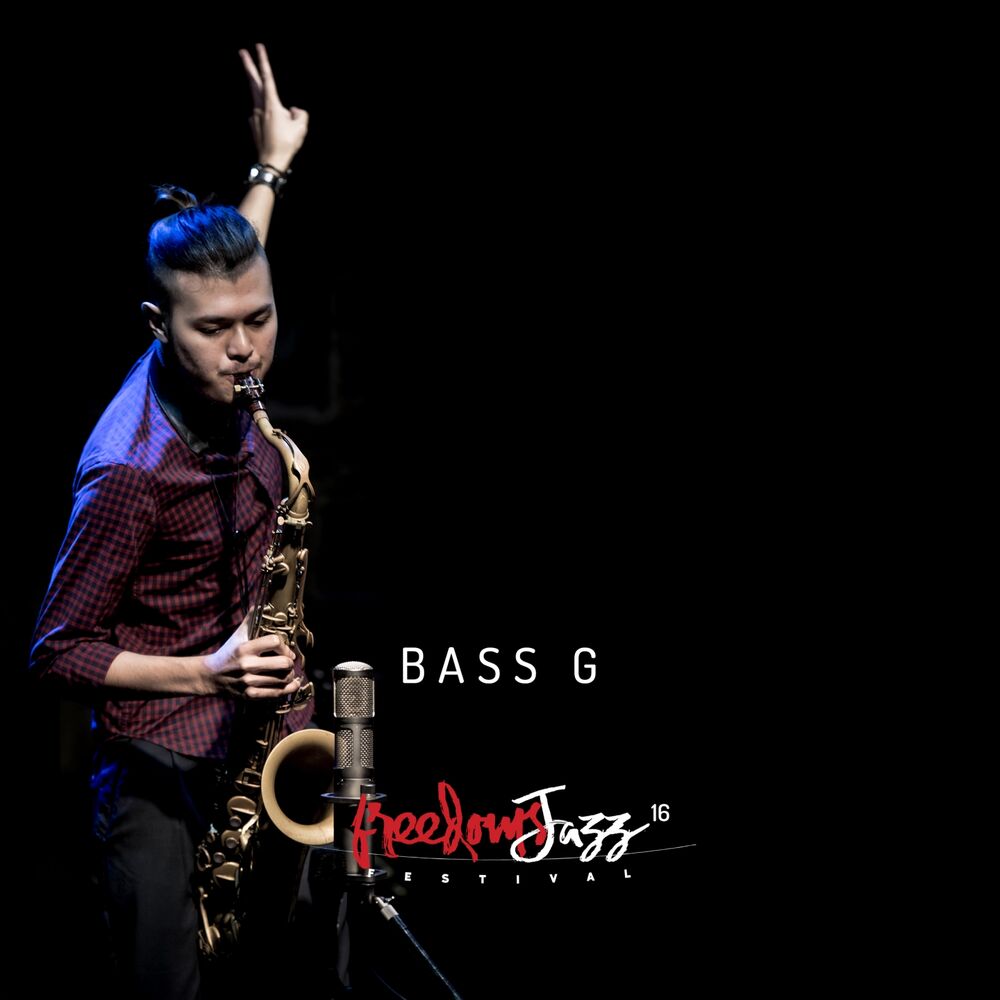 Picture of FreedomsJazz Festival 2016 - Day 14 - Bass G