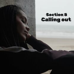 Cover of Calling Out