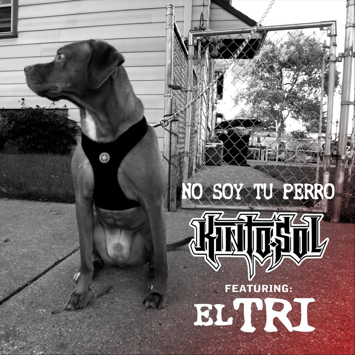 Album cover of No Soy Tu Perro