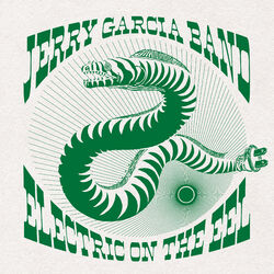 Cover of Electric on the Eel