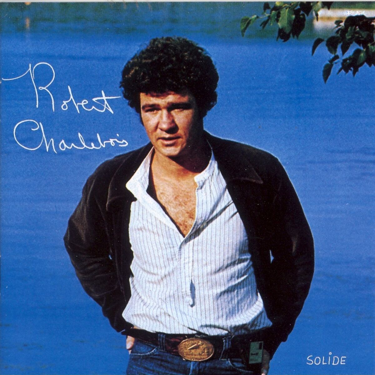 Album cover of Samba des Canards