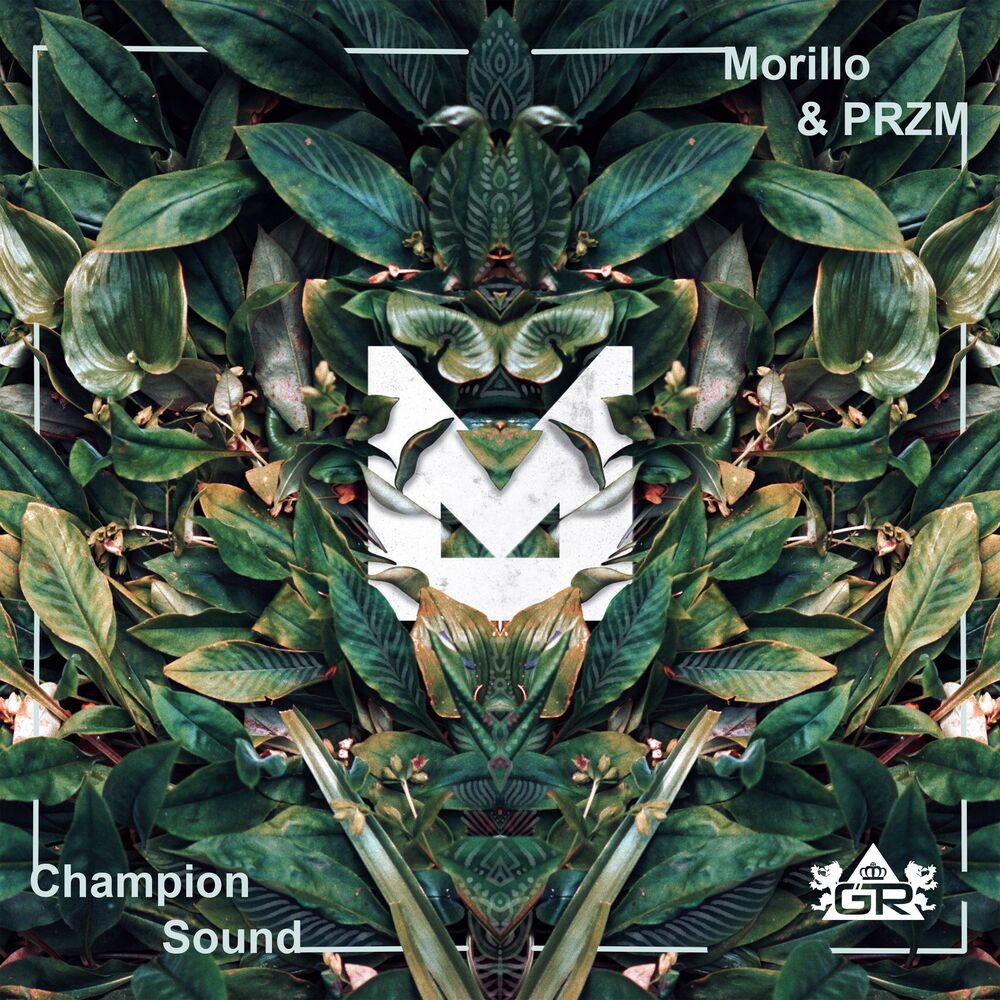 Picture of Champion Sound