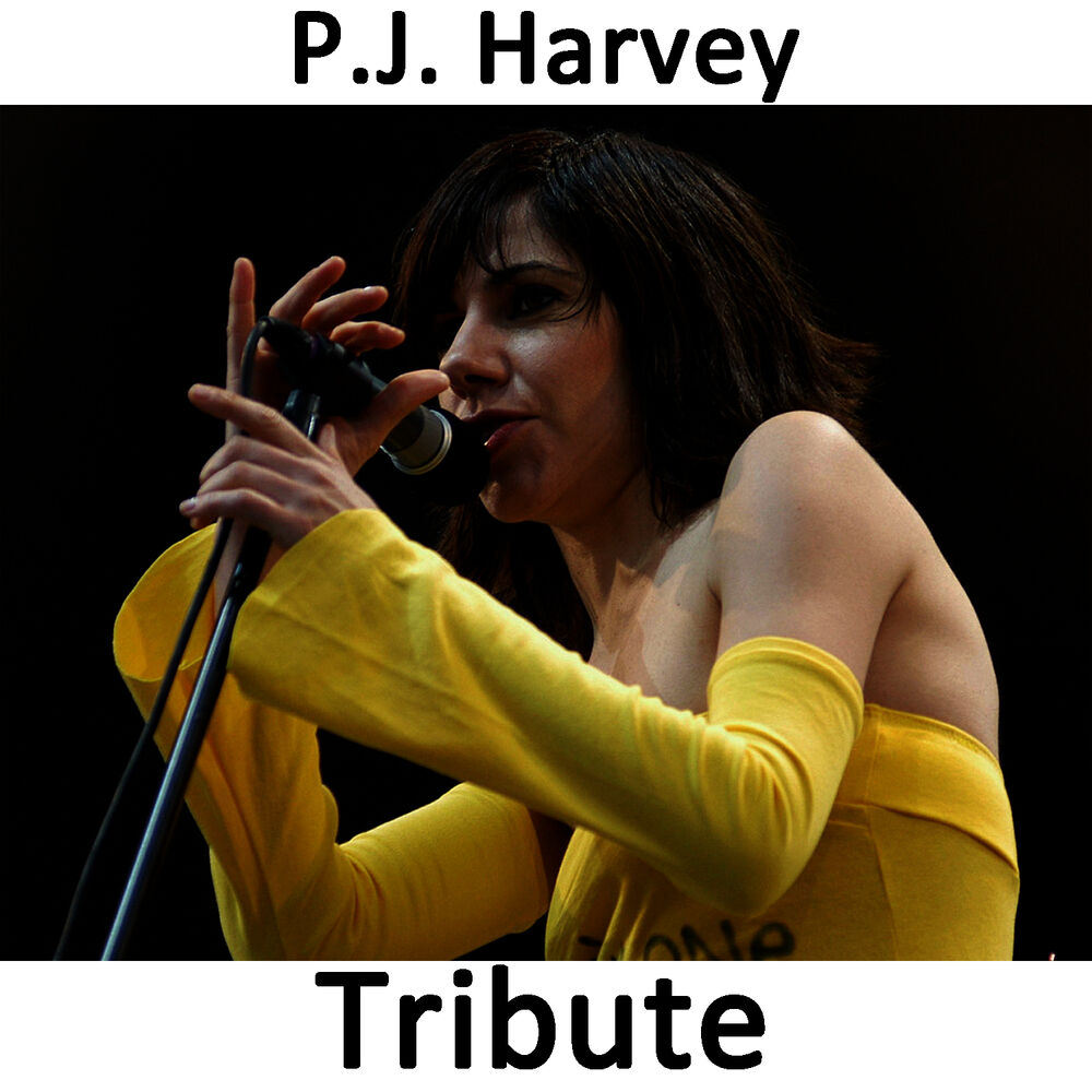 Picture of Dress: Tribute To P. J Harvey