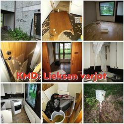 Lieksan varjot (Lieksa-trilogia, osa 2)