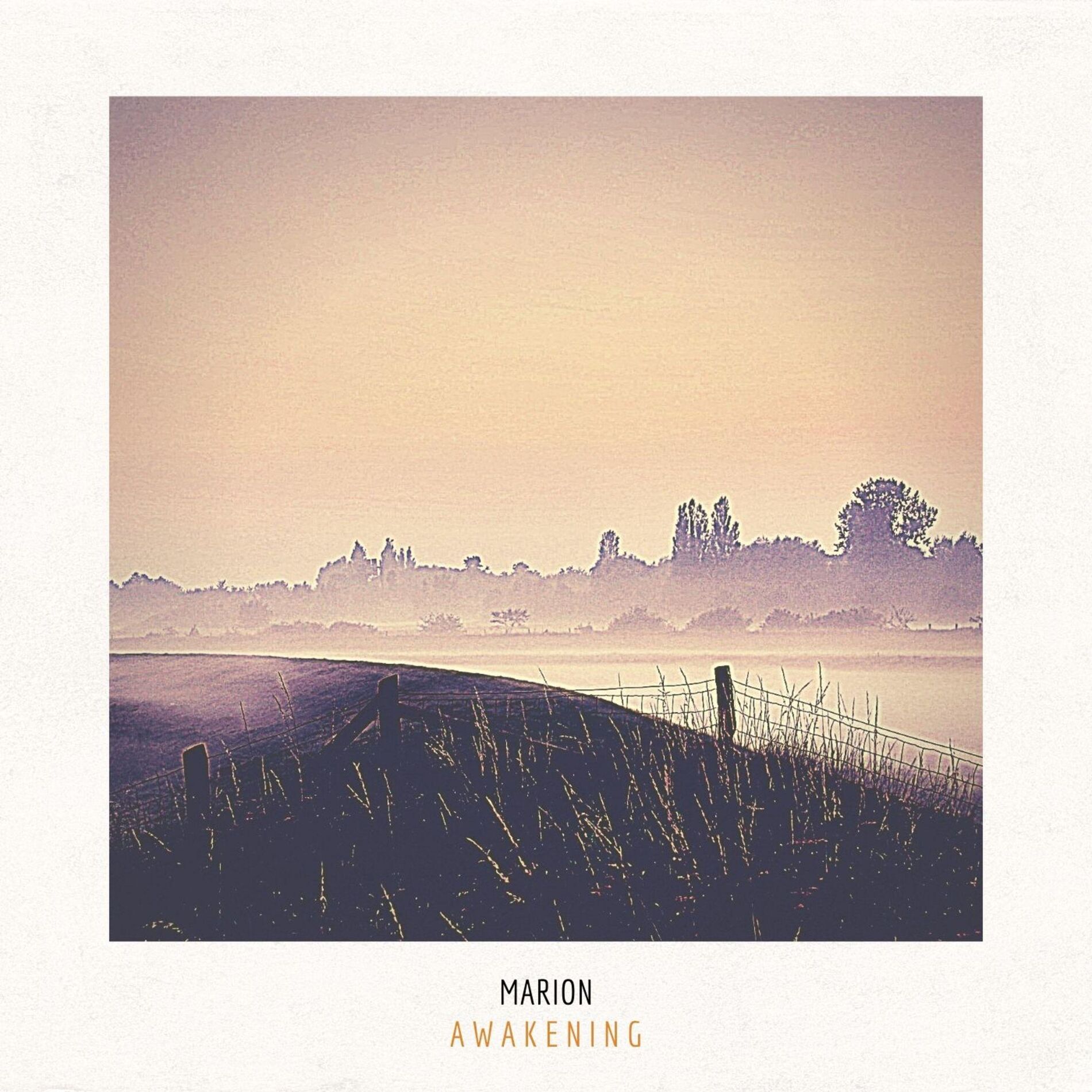 Album cover of Awakening