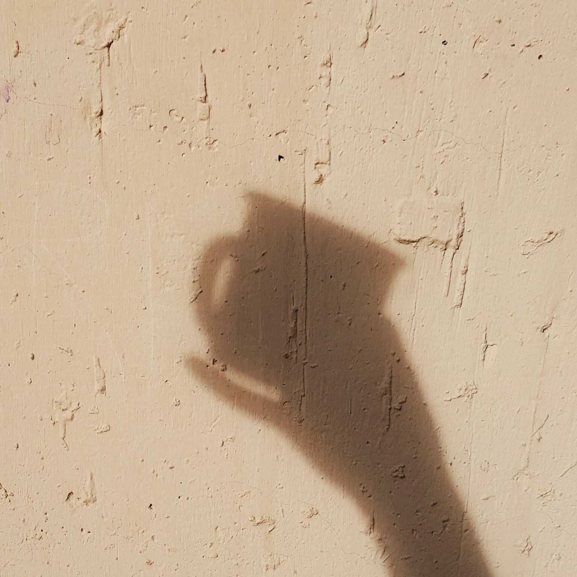Album cover of Soft Shadows