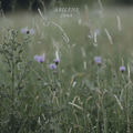 June