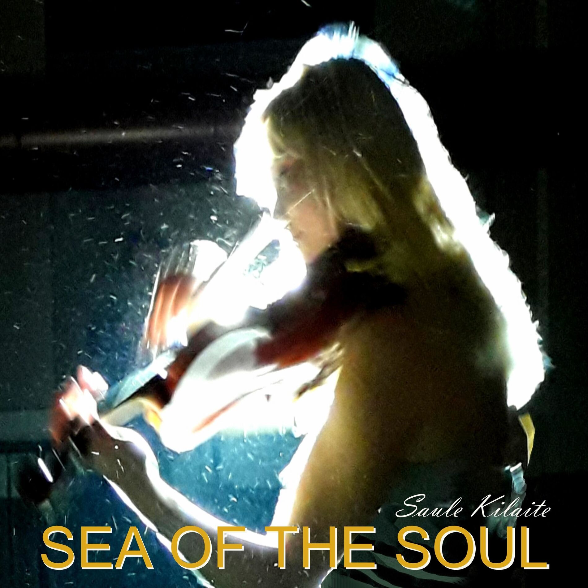 Album cover of Sea Of The Soul
