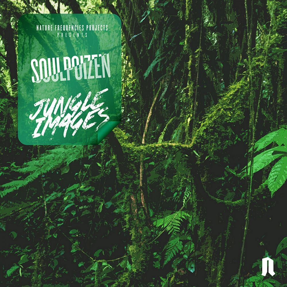 Picture of Jungle Images