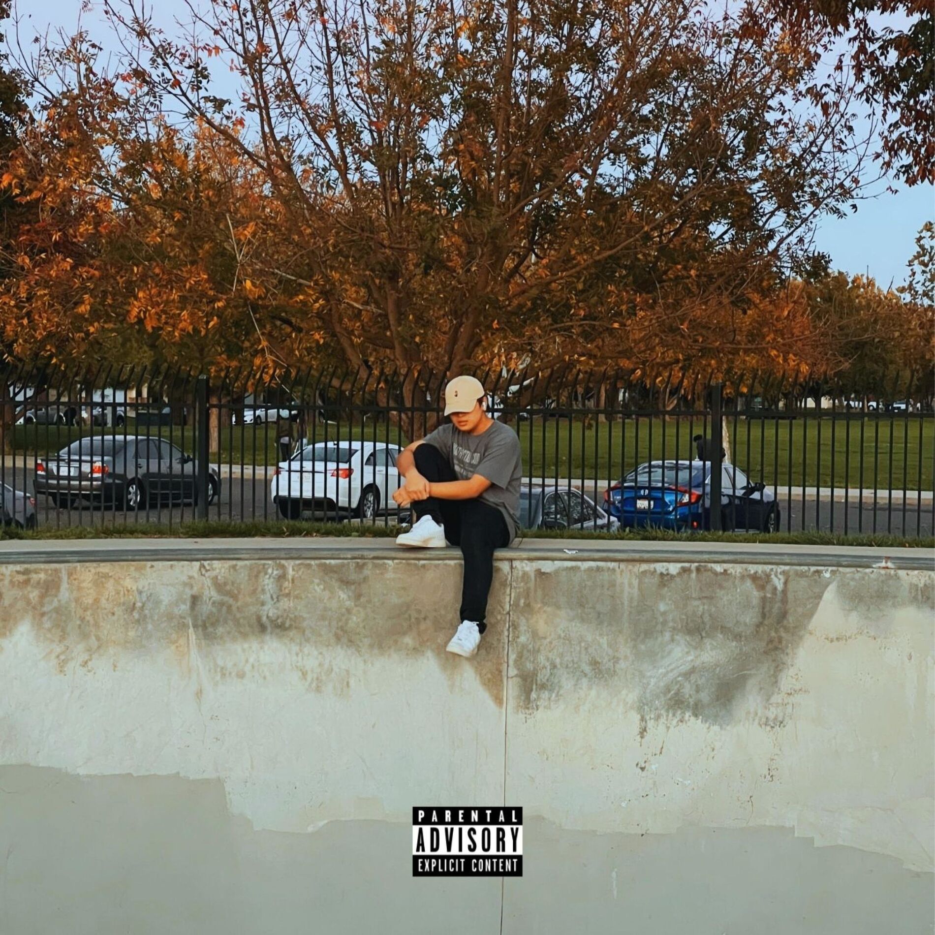 Album cover of Fall For You