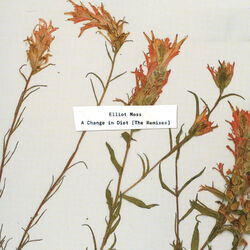 Cover of A Change in Diet (The Remixes)