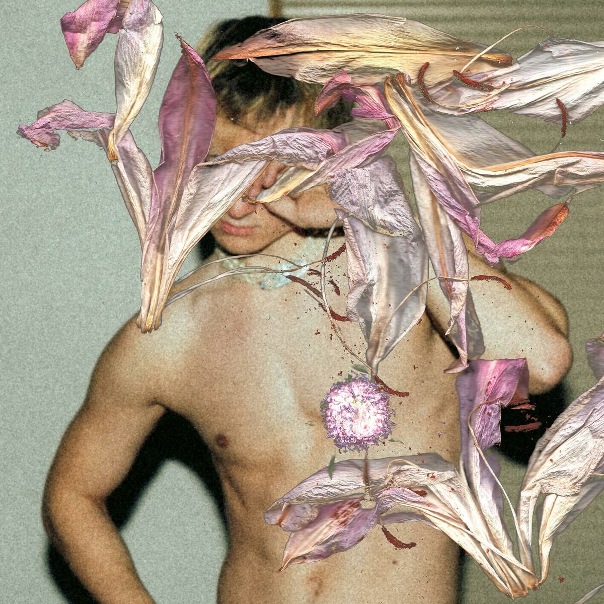 Album cover of fremde bleiben