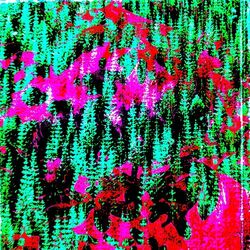 Cover of Un Bosque