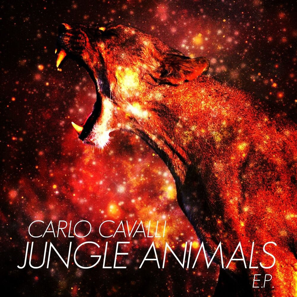 Picture of Jungle Animals - EP