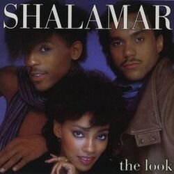 Cover of The Look