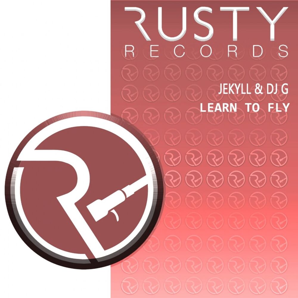 Picture of Learn To Fly