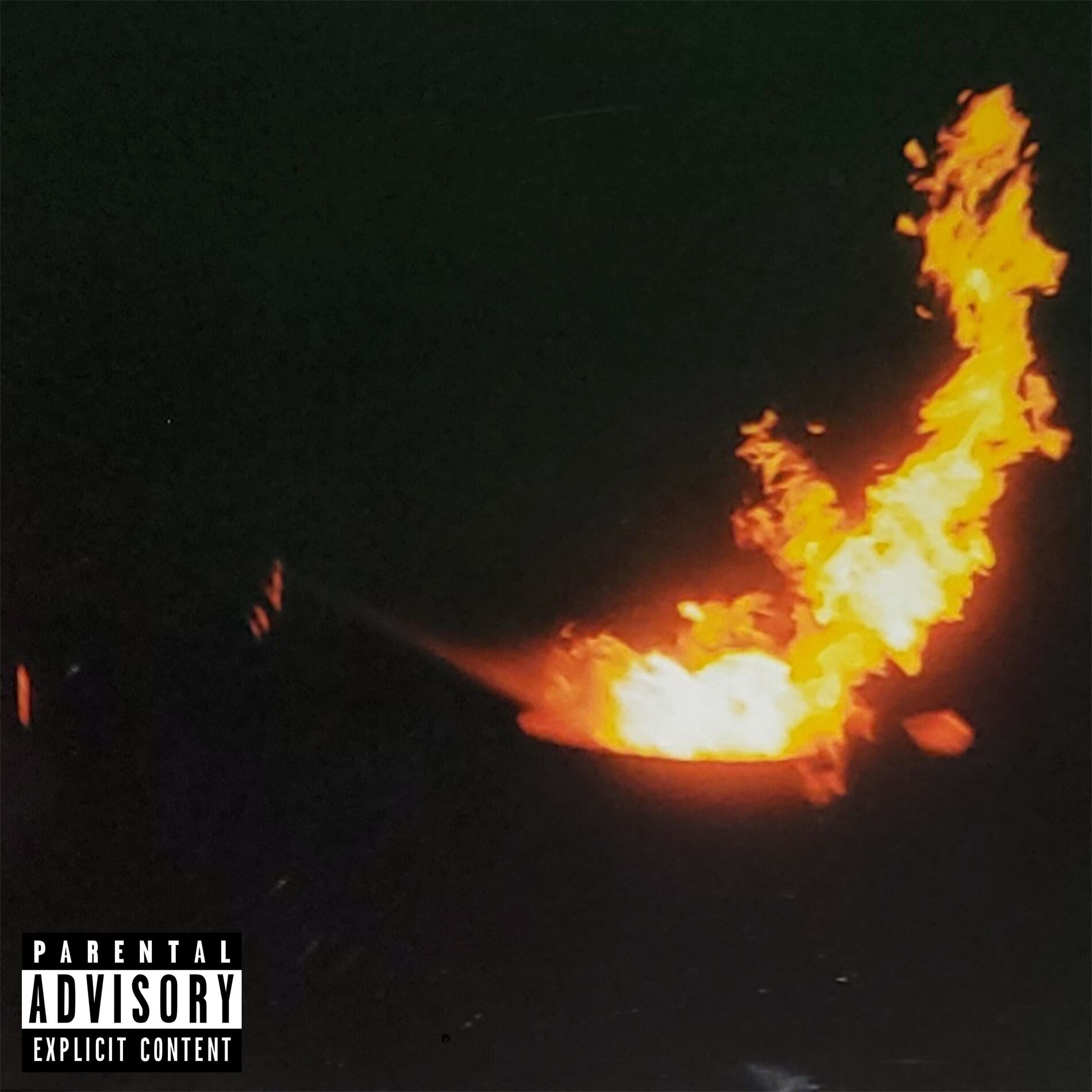 Album cover of Gotham (feat. Lil Duke)