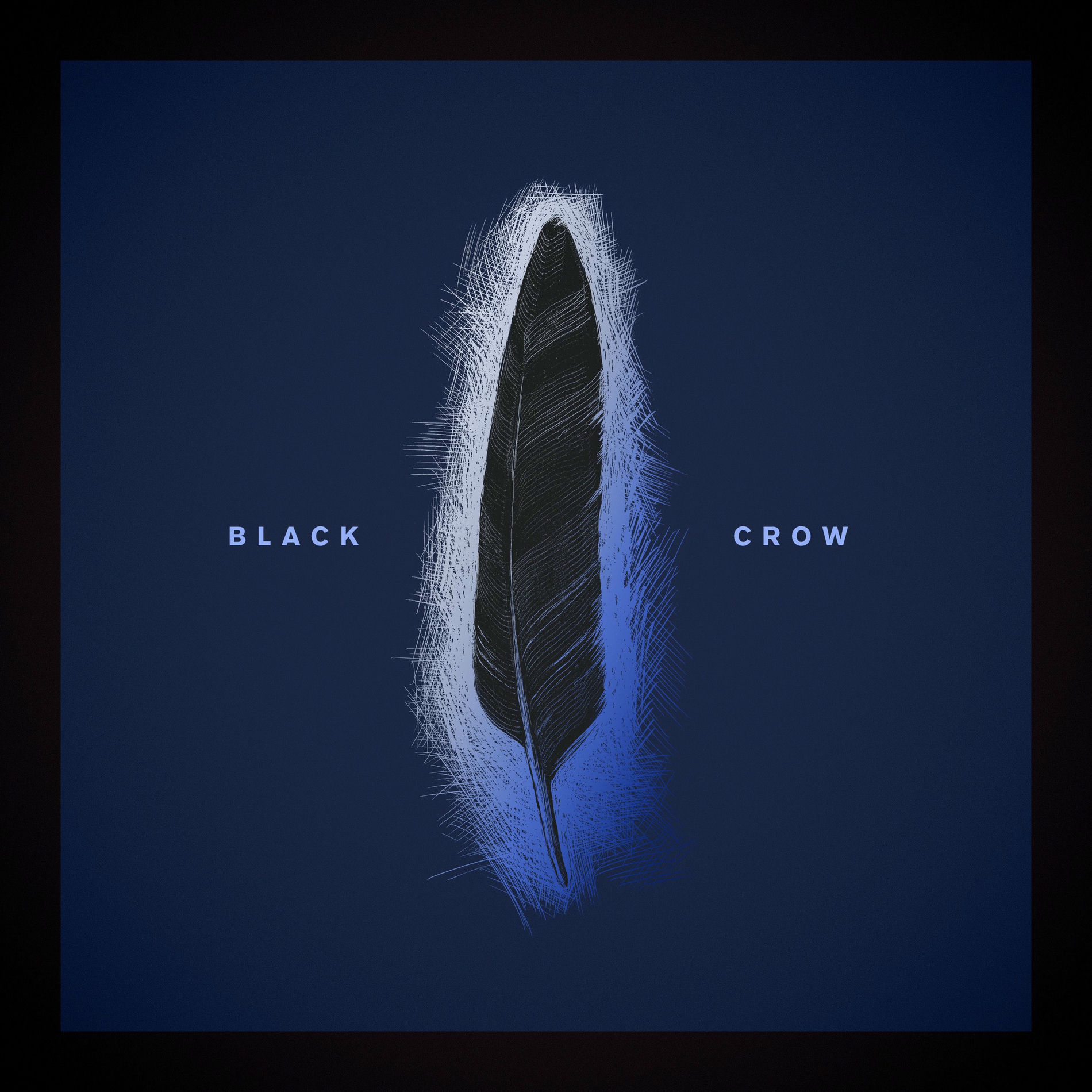 Album cover of Black Crow