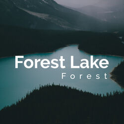 Cover of Forest Lake