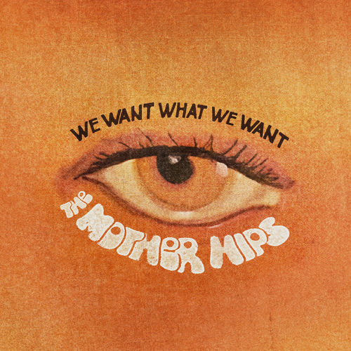 We Want What We Want sleeve