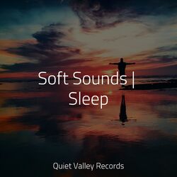 Cover of Soft Sounds | Sleep