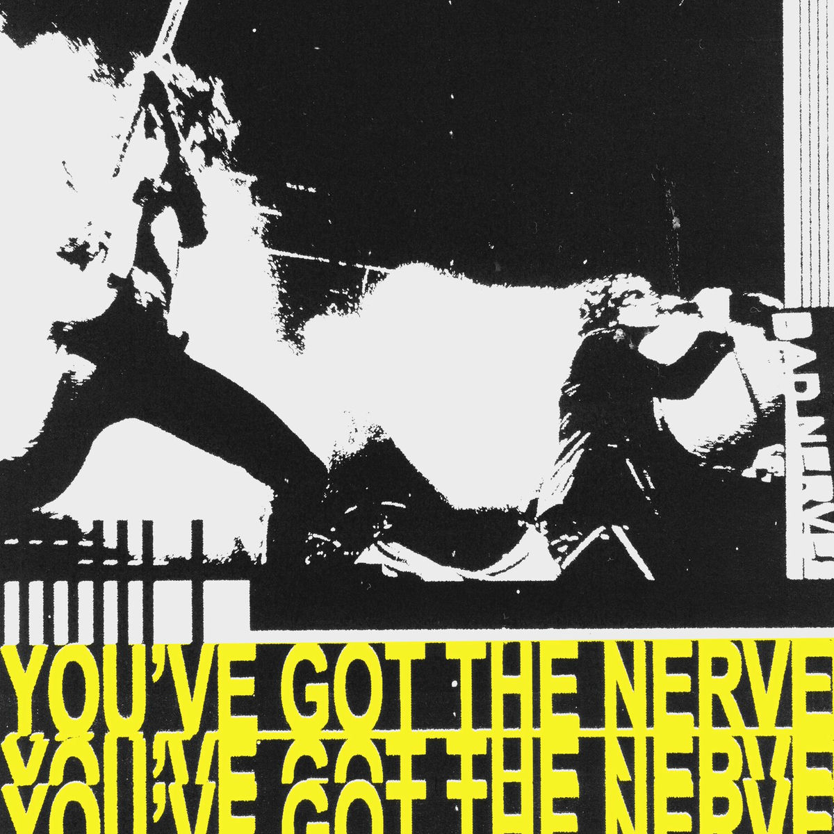 Album cover of You've Got The Nerve
