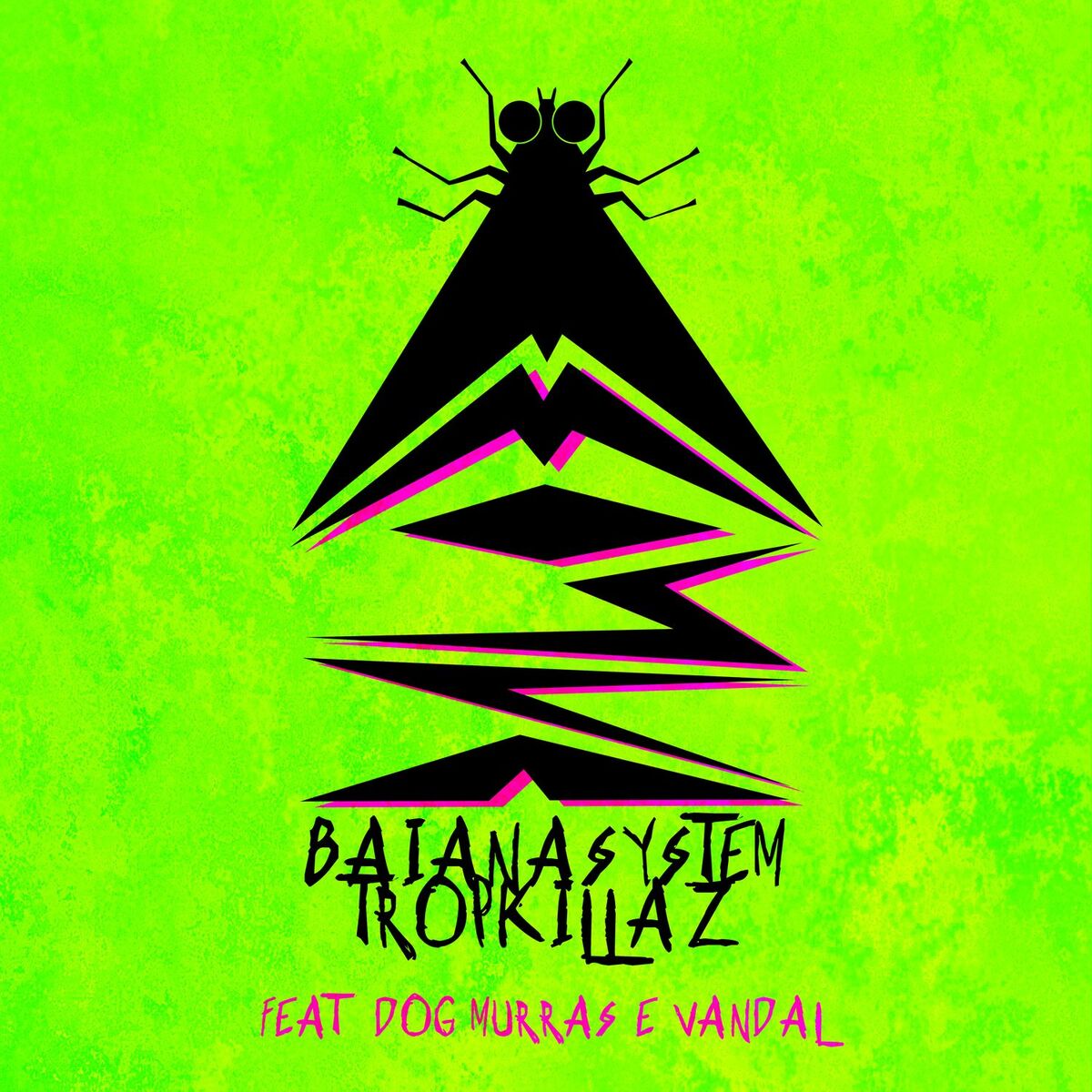 Album cover of A Mosca