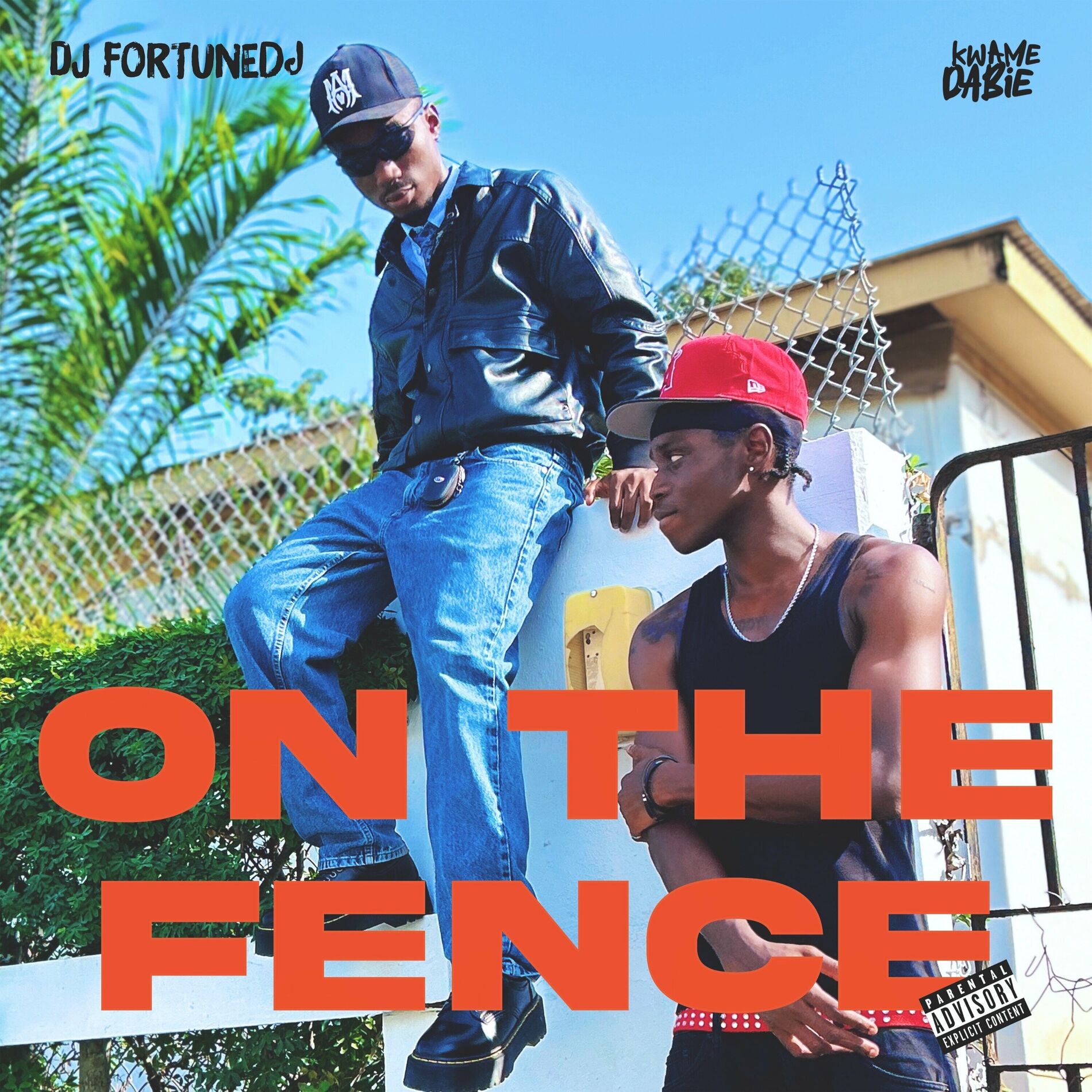 Album cover of ON THE FENCE