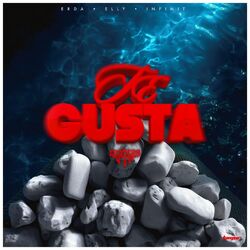 Te Gusta