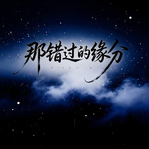 那错过的缘分 (Dj西米版)