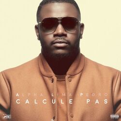 Cover of Calcule pas